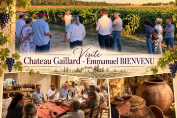 Emmanuel BIENVENU - Chateau gaillard